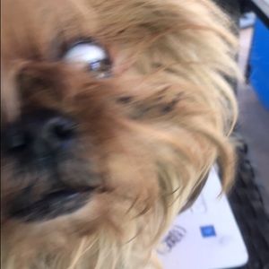 Meet your Posher, Rodrigo